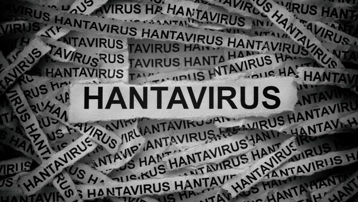 IDAI Minta Masyarakat Tak Panik soal Hantavirus, Fokus Utama Tetap Difteri dan Campak