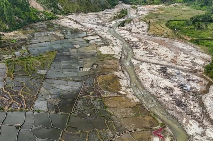 Petani di Sumatera Bangkit, Lahan Pertanian Pascabencana Mulai Produktif Lagi